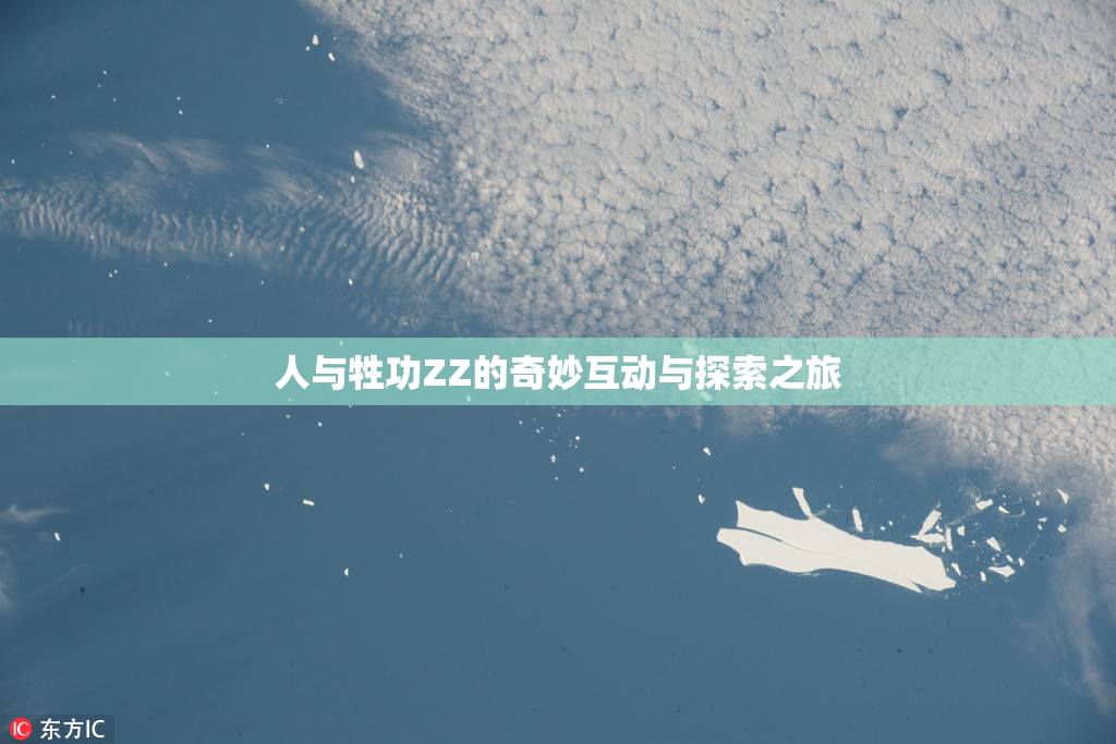 人与牲功ZZ的奇妙互动与探索之旅