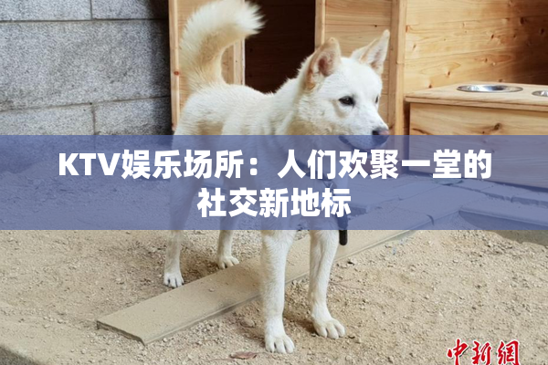 KTV娱乐场所：人们欢聚一堂的社交新地标
