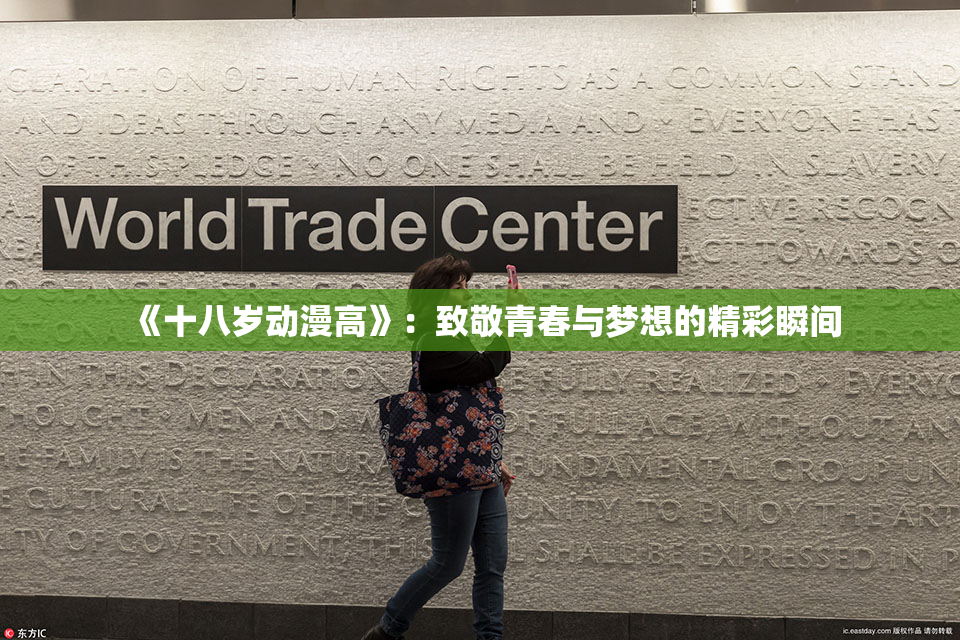 《十八岁动漫高》：致敬青春与梦想的精彩瞬间