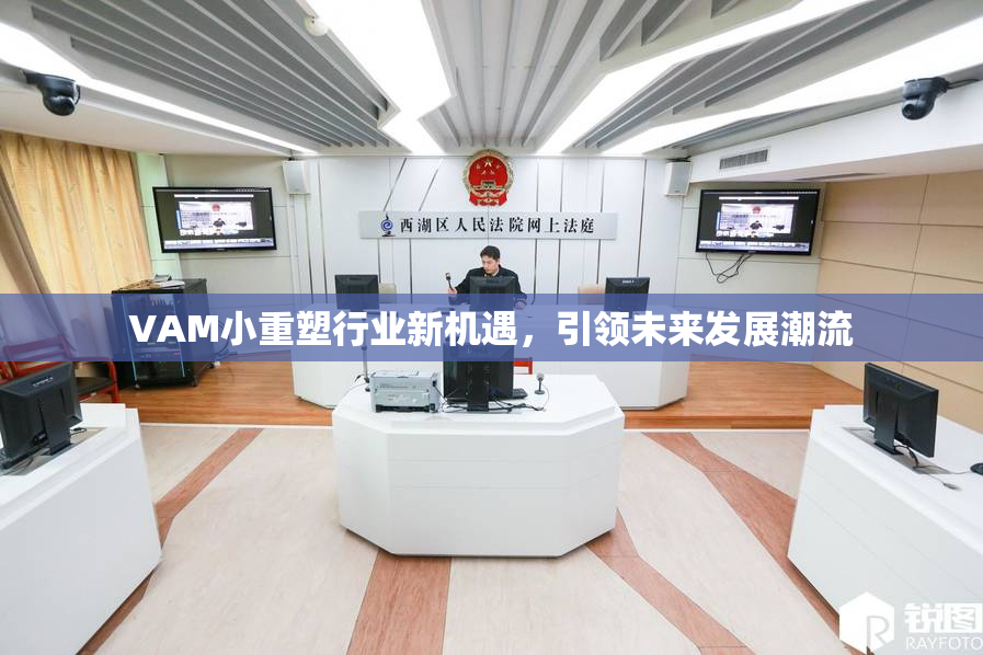 VAM小重塑行业新机遇，引领未来发展潮流