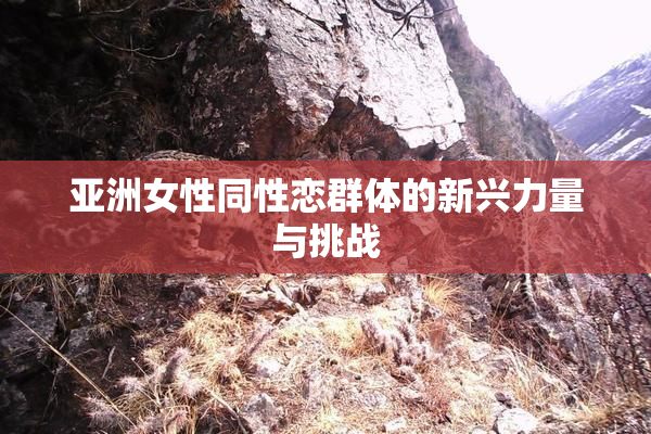亚洲女性同性恋群体的新兴力量与挑战