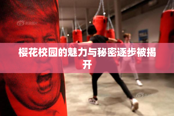 樱花校园的魅力与秘密逐步被揭开