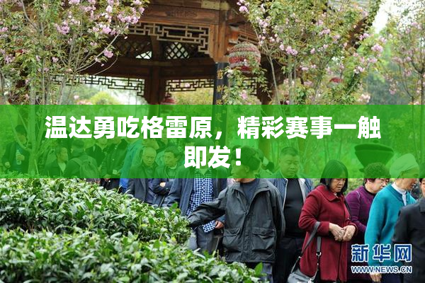 温达勇吃格雷原，精彩赛事一触即发！
