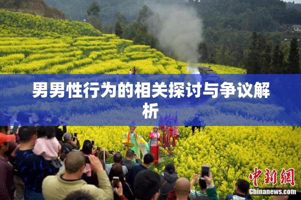 男男性行为的相关探讨与争议解析