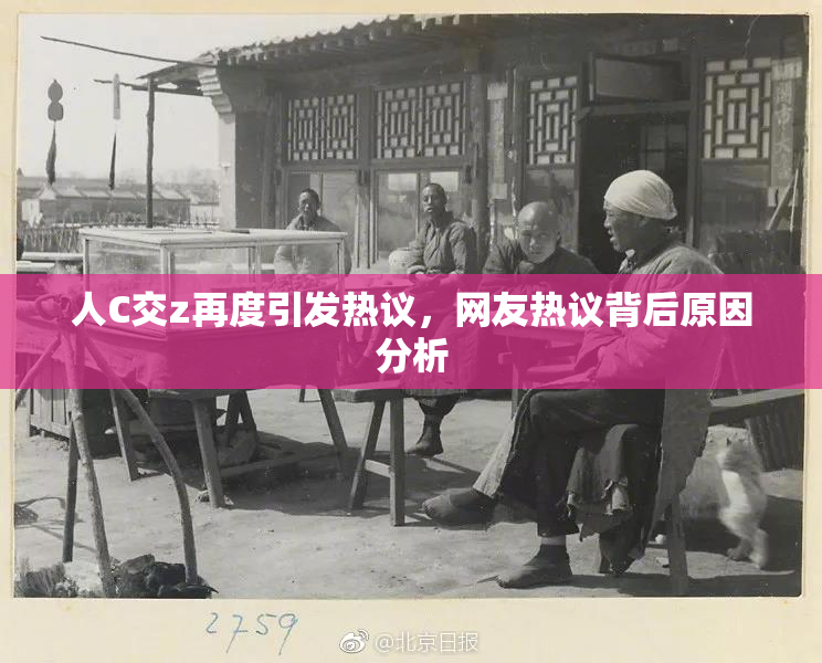 人C交z再度引发热议，网友热议背后原因分析
