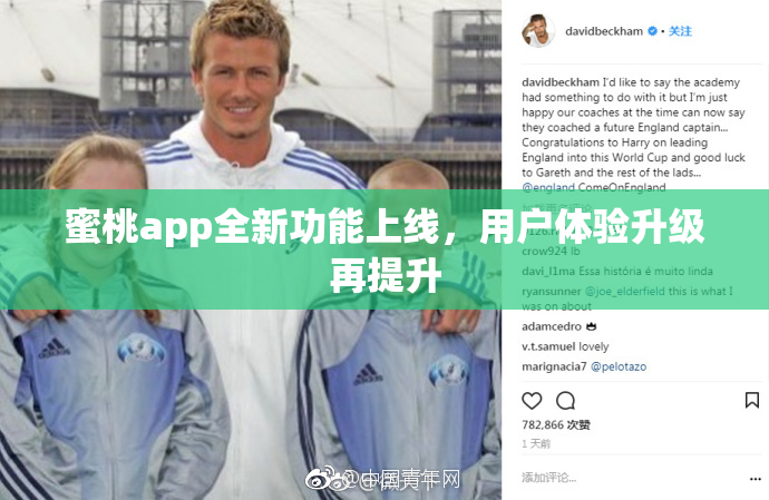 蜜桃app全新功能上线，用户体验升级再提升