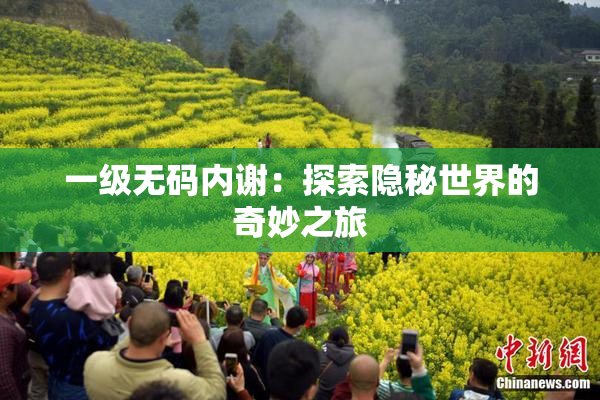 一级无码内谢：探索隐秘世界的奇妙之旅