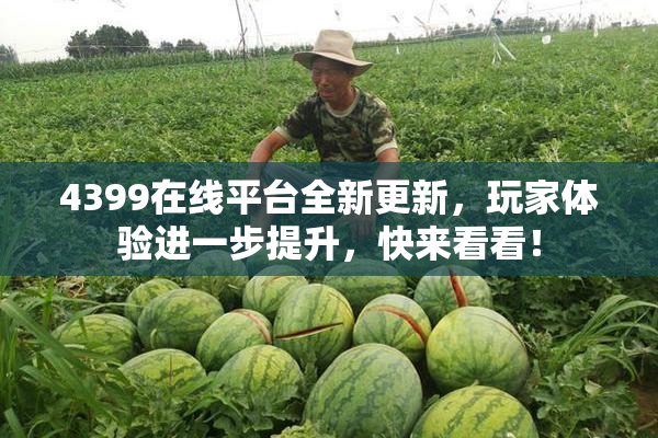 4399在线平台全新更新，玩家体验进一步提升，快来看看！