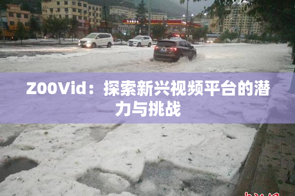 Z00Vid：探索新兴视频平台的潜力与挑战