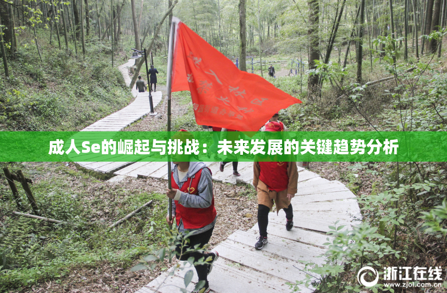 成人Se的崛起与挑战：未来发展的关键趋势分析