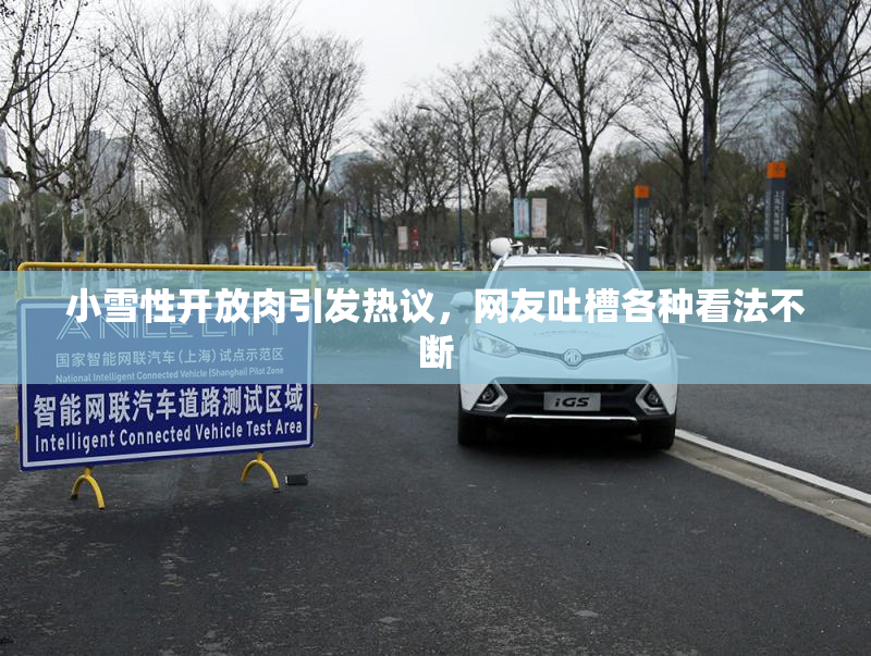 小雪性开放肉引发热议，网友吐槽各种看法不断