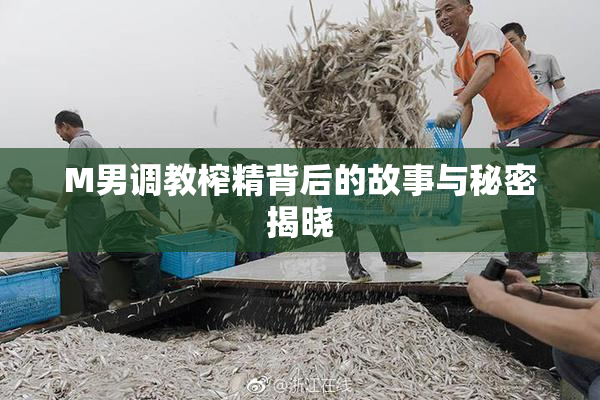 M男调教榨精背后的故事与秘密揭晓