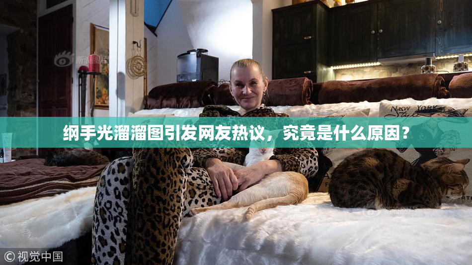 纲手光溜溜图引发网友热议，究竟是什么原因？