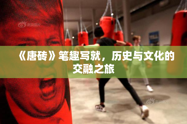 《唐砖》笔趣写就，历史与文化的交融之旅