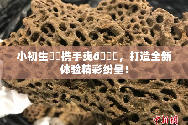 小初生❌‌携手爽🔞，打造全新体验精彩纷呈！