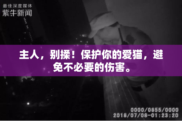 主人，别揉！保护你的爱猫，避免不必要的伤害。