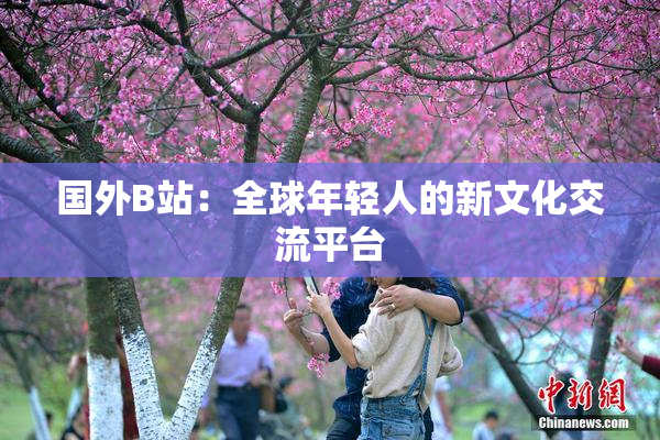 国外B站：全球年轻人的新文化交流平台