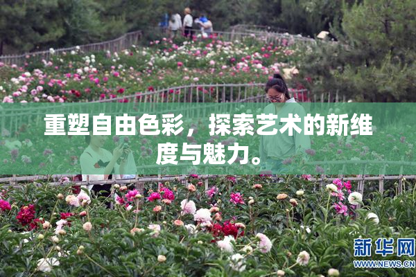 重塑自由色彩，探索艺术的新维度与魅力。