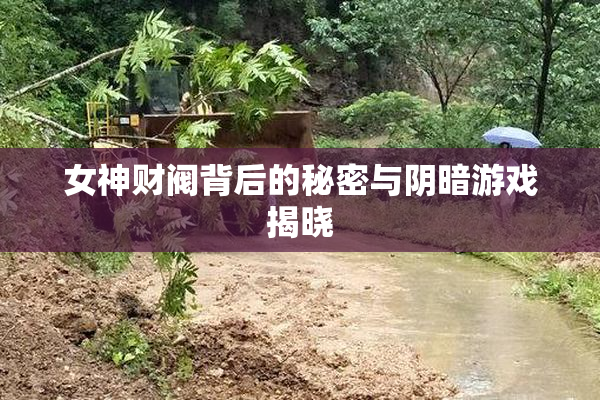 女神财阀背后的秘密与阴暗游戏揭晓