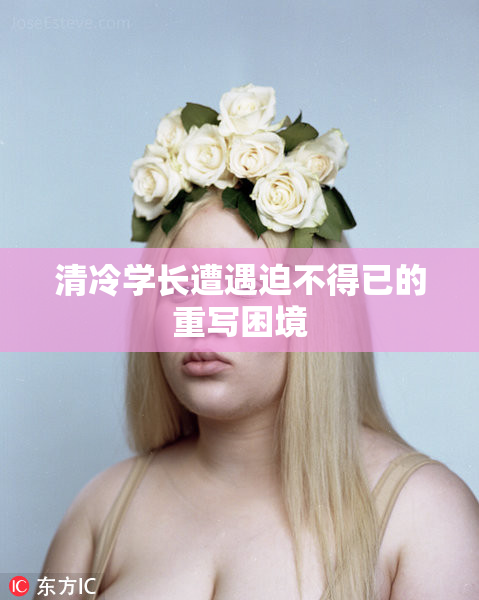 清冷学长遭遇迫不得已的重写困境