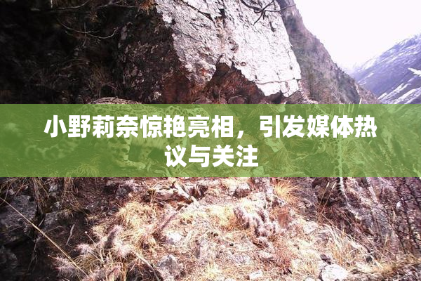 小野莉奈惊艳亮相，引发媒体热议与关注