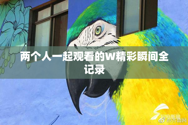 两个人一起观看的W精彩瞬间全记录