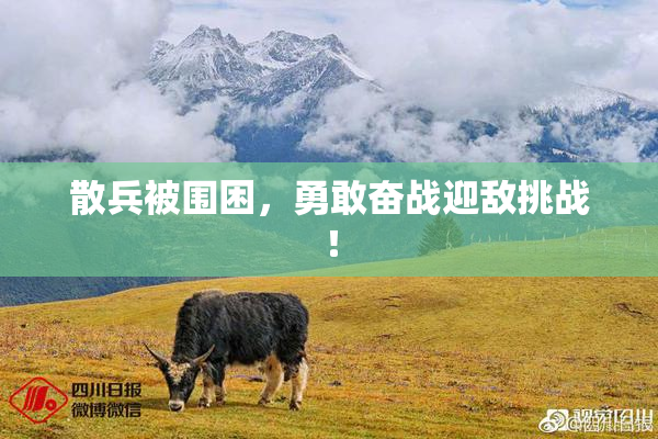散兵被围困，勇敢奋战迎敌挑战！