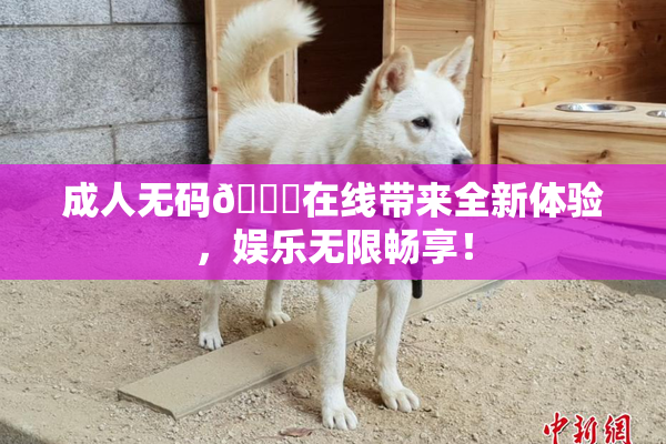成人无码🔞在线带来全新体验，娱乐无限畅享！