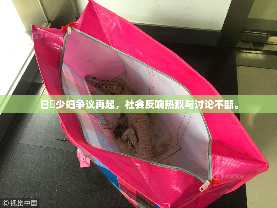 日夲少妇争议再起，社会反响热烈与讨论不断。