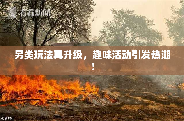 另类玩法再升级，趣味活动引发热潮！
