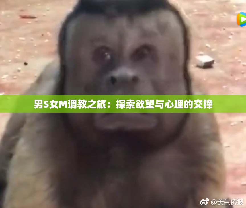 男S女M调教之旅：探索欲望与心理的交锋