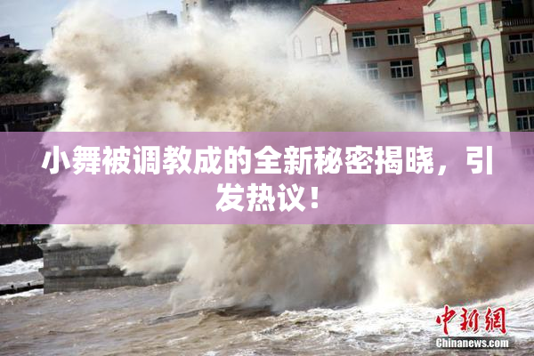 小舞被调教成的全新秘密揭晓，引发热议！