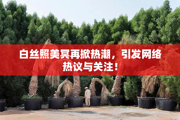 白丝照美冥再掀热潮，引发网络热议与关注！