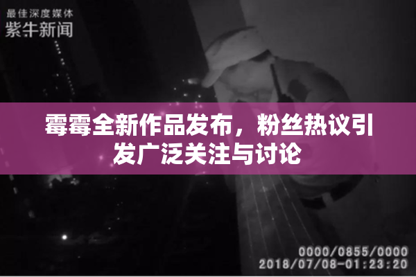 霉霉全新作品发布，粉丝热议引发广泛关注与讨论
