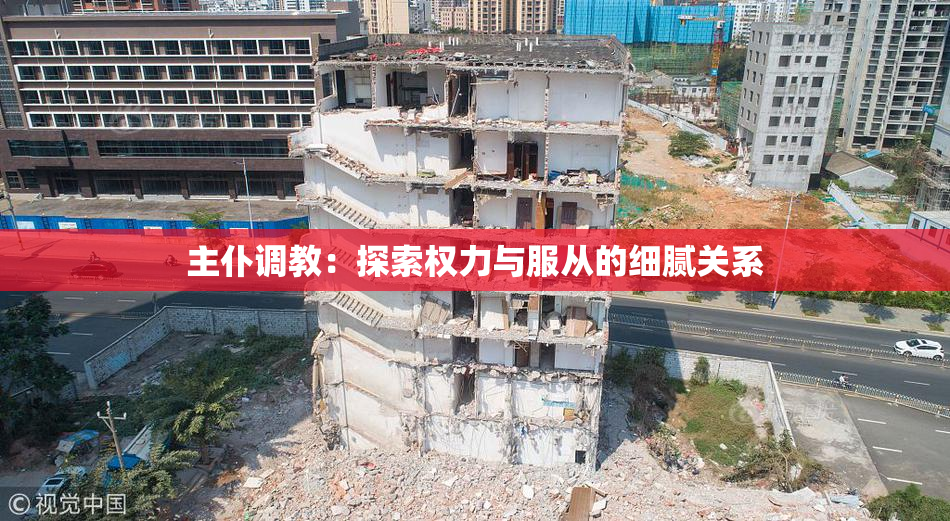 主仆调教：探索权力与服从的细腻关系