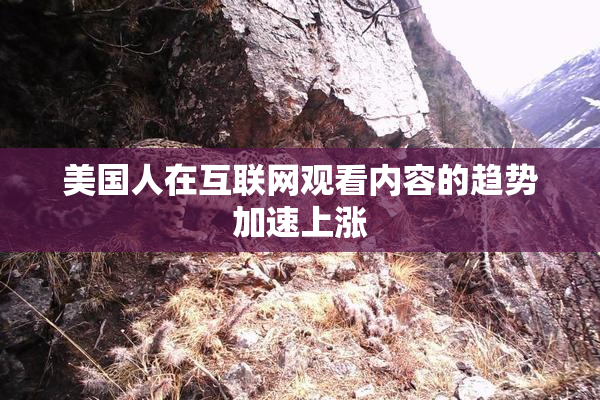 美国人在互联网观看内容的趋势加速上涨