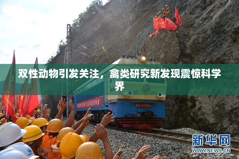 双性动物引发关注，禽类研究新发现震惊科学界