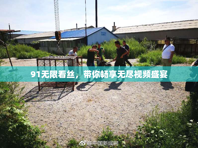91无限看丝，带你畅享无尽视频盛宴