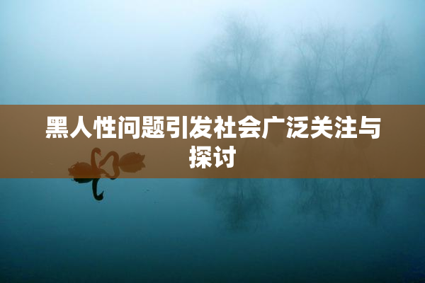 黑人性问题引发社会广泛关注与探讨