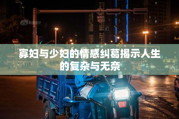 寡妇与少妇的情感纠葛揭示人生的复杂与无奈