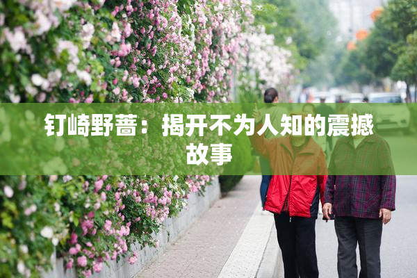 钉崎野蔷：揭开不为人知的震撼故事