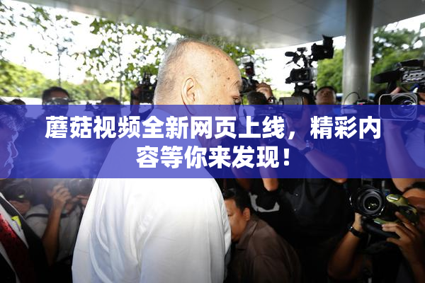 蘑菇视频全新网页上线，精彩内容等你来发现！