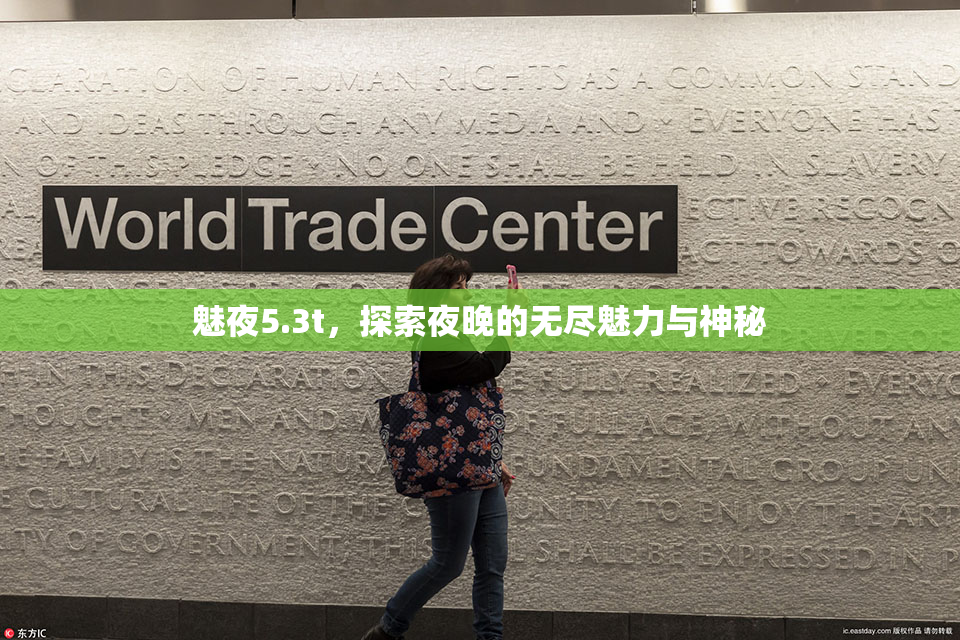 魅夜5.3t，探索夜晚的无尽魅力与神秘
