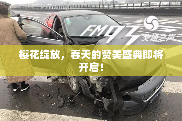 樱花绽放，春天的赞美盛典即将开启！