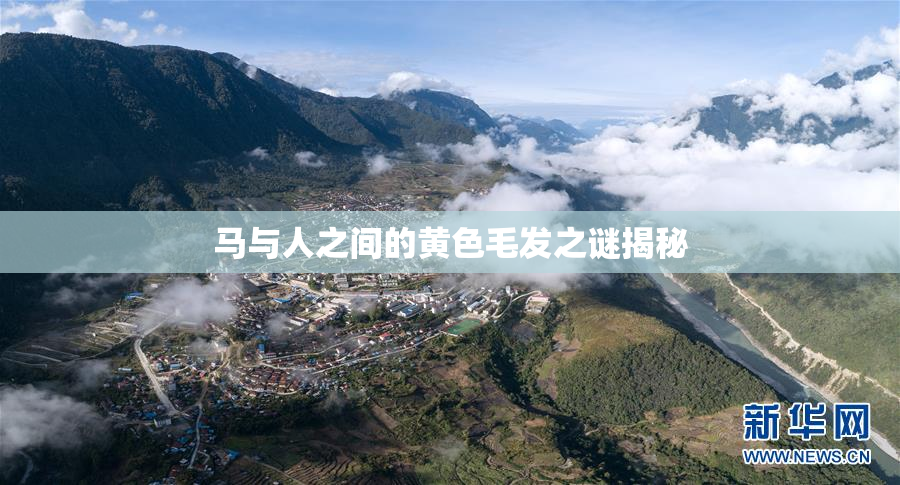 马与人之间的黄色毛发之谜揭秘