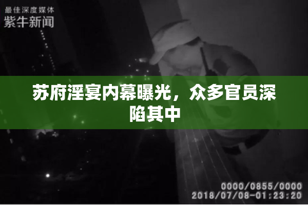 苏府淫宴内幕曝光，众多官员深陷其中