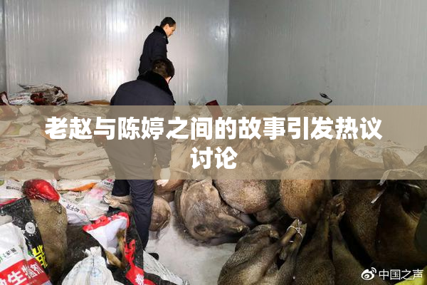 老赵与陈婷之间的故事引发热议讨论