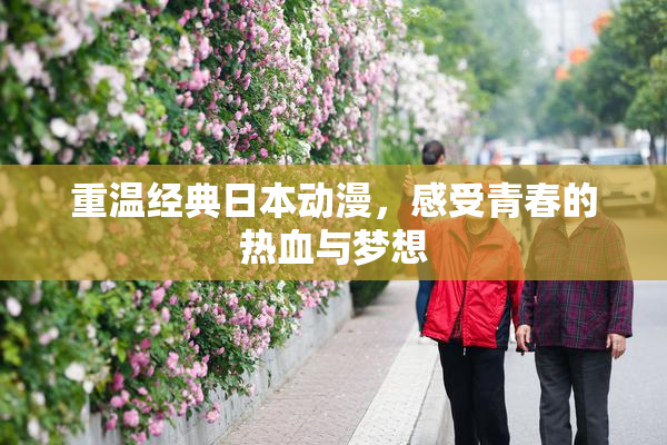 重温经典日本动漫，感受青春的热血与梦想