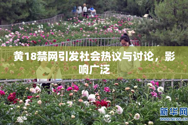 黄18禁网引发社会热议与讨论，影响广泛