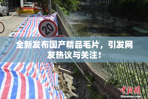 全新发布国产精品毛片，引发网友热议与关注！